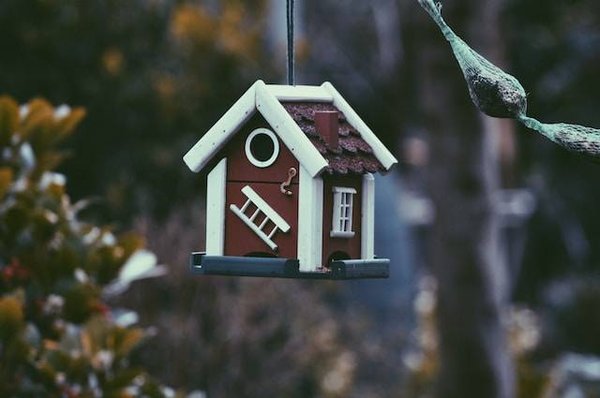 Quelle est l'évolution du marché de l'immobilier pour les appartements à vendre à Toulouse ?